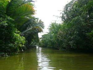 Canals of the Mekong Delta