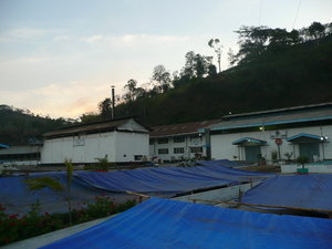 Coffee Factory
