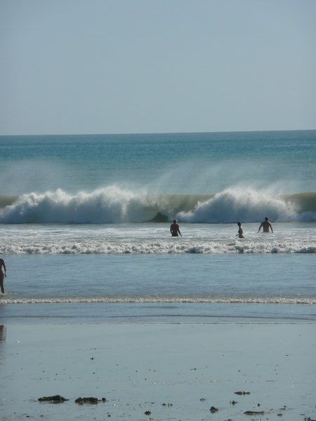 Big Surf!