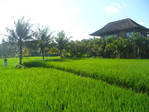 Our Villa in Ubud