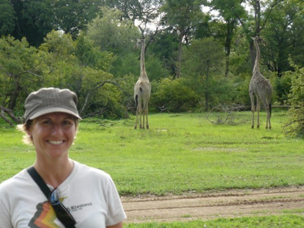 KT and Giraffes