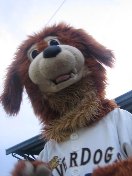 Charlie the riverdogs mascot!