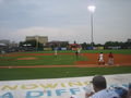 The riverdogs baseball experience