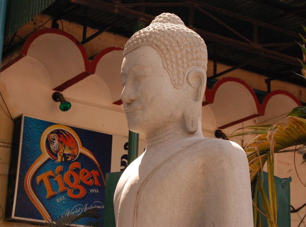 BuddhaTiger