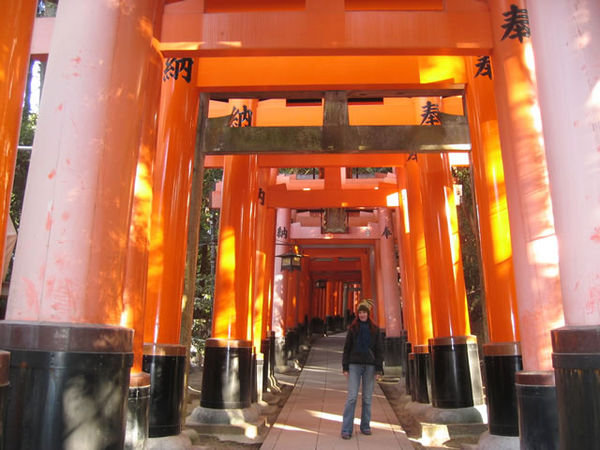 even more torii