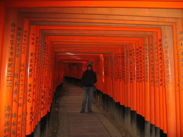 more torii