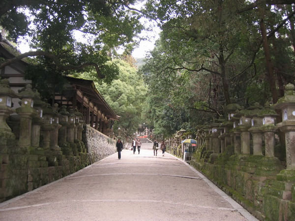 path to kasuga-taisha