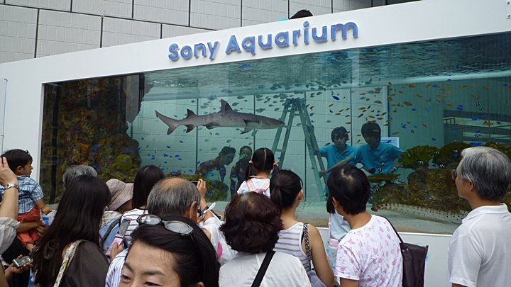 sony aquarium