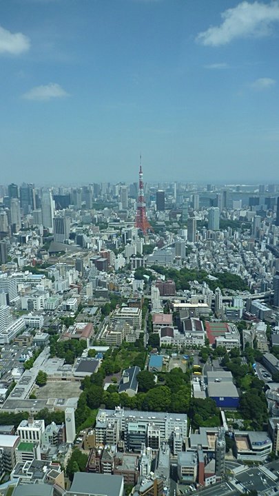 view from mori tower, tokyo