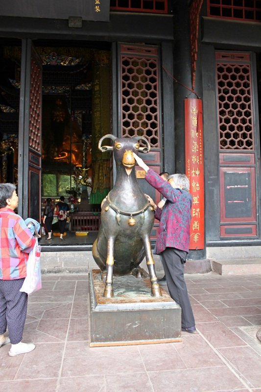 Qingyang Gong - goat