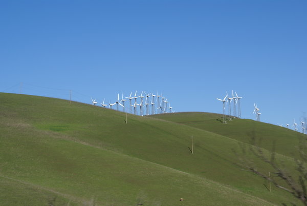 Wind mills galore