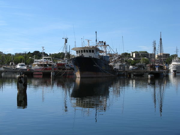 Fisherman's Wharf de Darwin