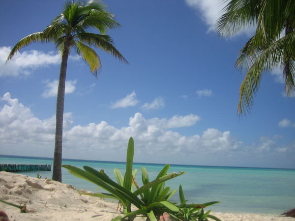 Isla Mujeres - endlich am Beach