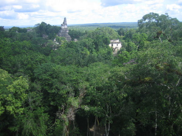 Temples in the middle of the jungle