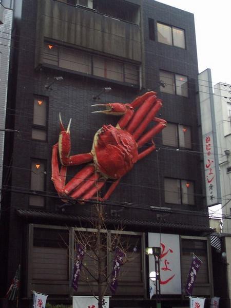 Attack Of The Spider Crabs