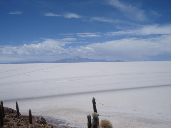The Salt Plains