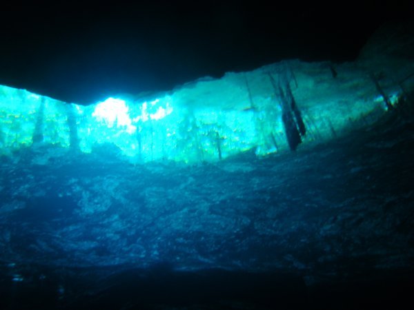 Cenotes Diving