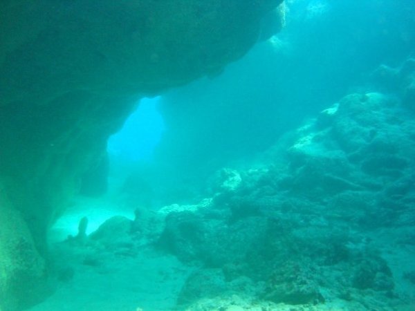 Diving in Utila