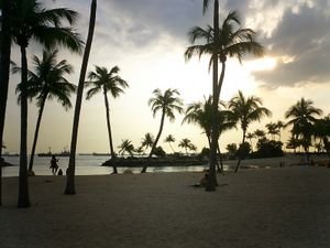 Fake sand and palm trees...isn't it beautiful!