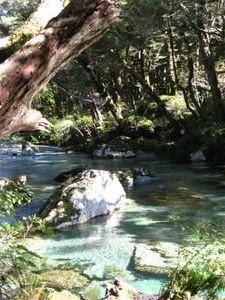 The Routeburn river valley