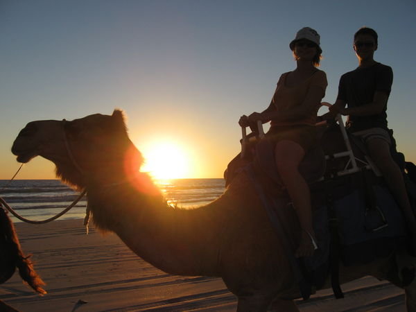 Sunset with a camel