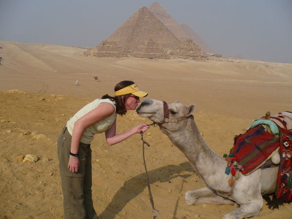 Camel-Kissin'
