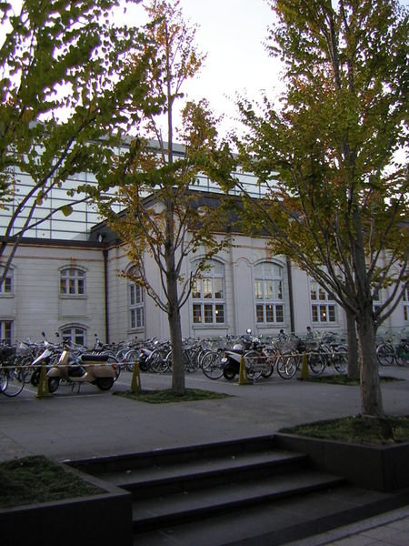 Bicycles are all the rage in Kyoto!