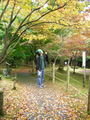Mmm beautiful Autumn in Japan
