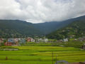 More Rice Fields