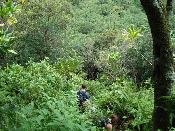 Maui 051107 Iao Valley Hike