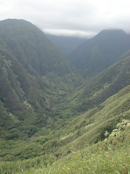 Iao Valley , Maui  091107