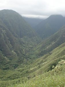 Iao Valley , Maui  091107