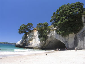 Cathedral cove1