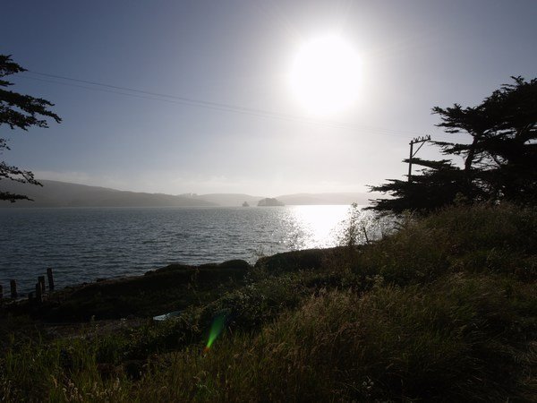 East Bay and North Coast Tour (2)