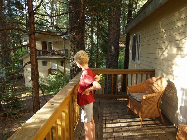 First feel of our lodge and balcony in the woods