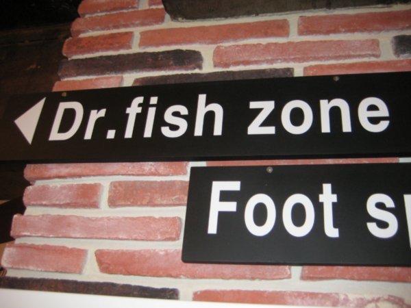 dr. fish