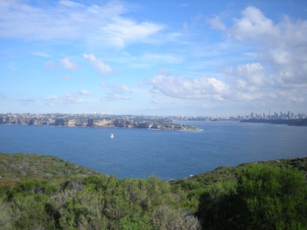 A view from the hill in Manly looking towards Sydney