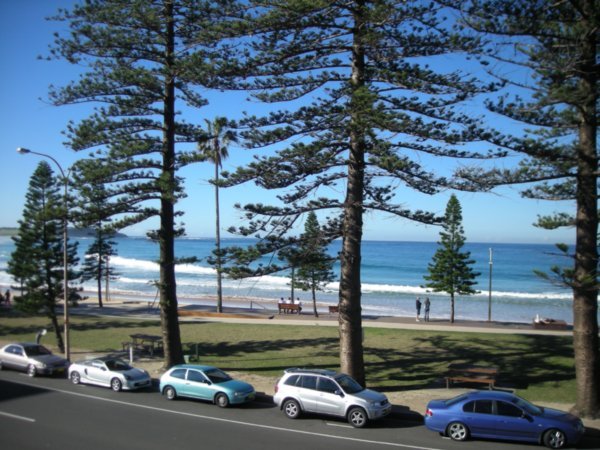 A view from one of the restaurants in Dee Why