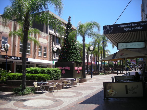 Christmas decorations amongst the palm trees in Wollongong