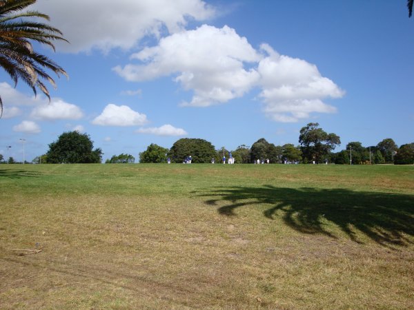 A local cricket game at the park