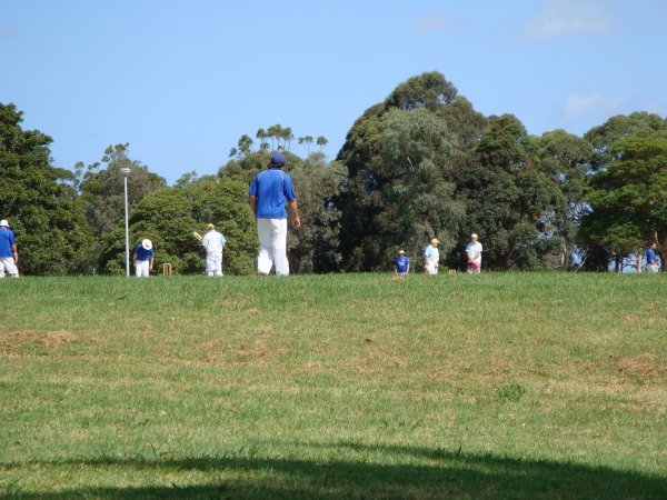 A local cricket game at the park