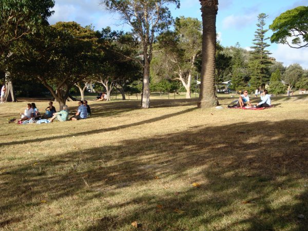 A sunday afternoon in Watsons Bay and so many people out having picnics
