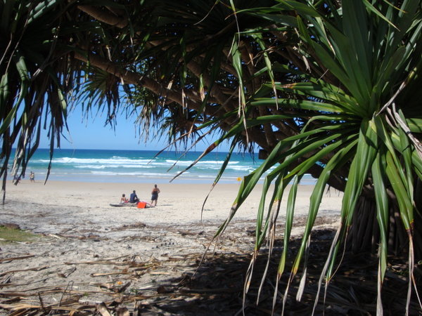 A view from down below to Duranbah, one of the most famous and consistant surf breaks on the East Coast of Oz
