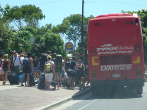 Busloads of backpackers arriving and leaving the ever popular Byron Bay