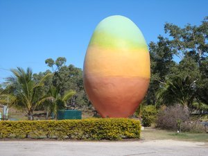 The Big Mango in Bowen (which apparently cost $90,000 to build incase you were wondering...)