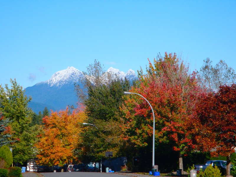 Fall colors and fresh snow on Garibaldi taken from my parents stree