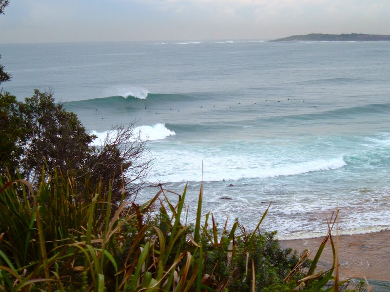 Big swell at Narrabeen