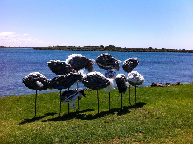 Some arty sculptures on the Port Macquarie waterfront (these are fish made out of plastic bags)