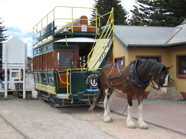Horse drawn tram.