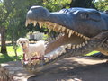 Millie in the mouth of Krys, the life size crocodile.